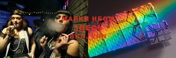 хмурый Тында